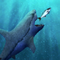 饥饿的疯狂鲨鱼世界大白鲨进化游戏