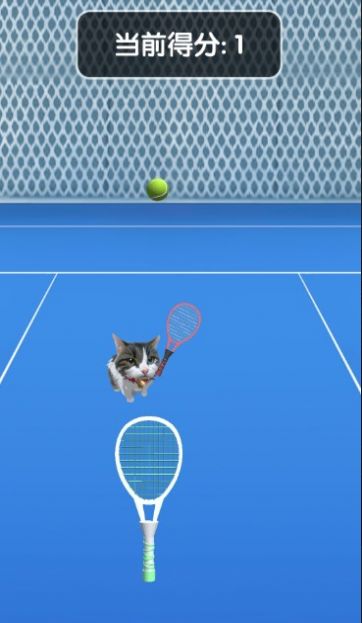 猫猫网球